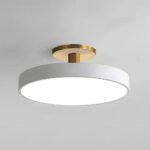 Simple Semi-Flush Mount Acrylic LED Ceiling Light