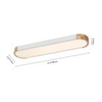 Dimmable Minimalist Long Oval Flush Mount LED Light