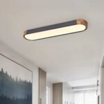 Dimmable Minimalist Long Oval Flush Mount LED Light