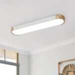 Dimmable Minimalist Long Oval Flush Mount LED Light